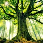 Pohon Di Sorga: Keutamaan Merutinkan Dzikir