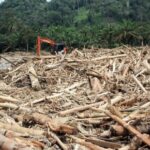 Penyebab Petaka & Bencana